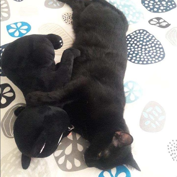 Meet your Posher, Lisa - Picture 1 of 1